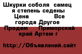 Шкурки соболя (самец) 1-я степень седены › Цена ­ 12 000 - Все города Другое » Продам   . Приморский край,Артем г.
